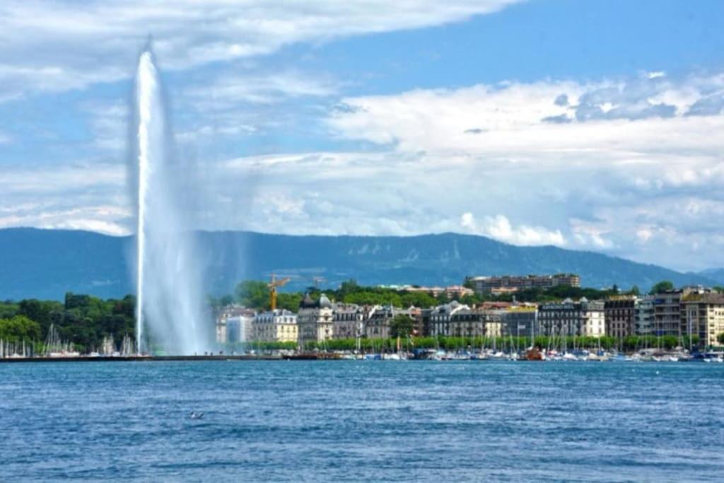 Cocon - Gare A 3min-geneve Acces Direct * Annemasse